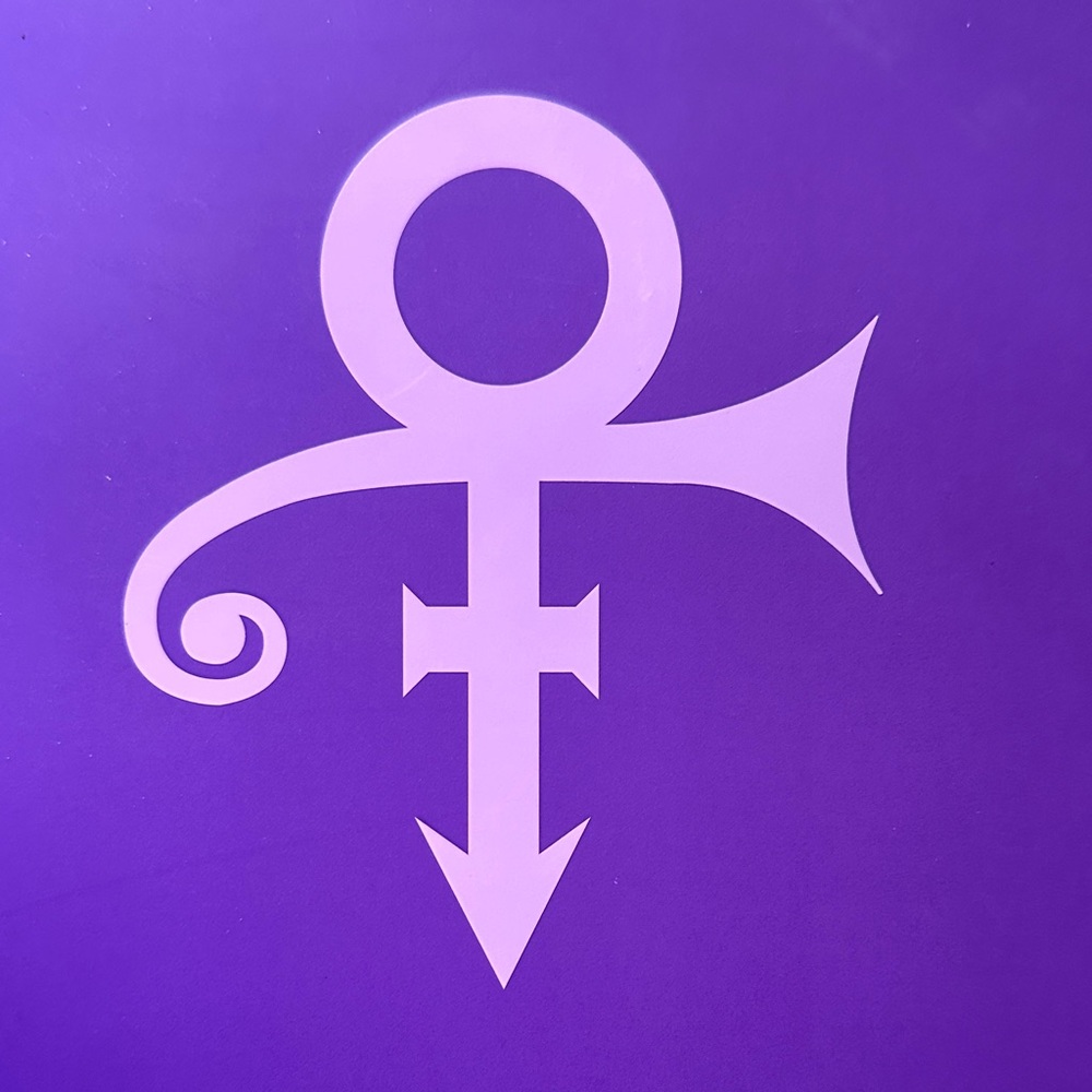 NWOT Prince Book